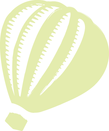 children napa pediatric dentist